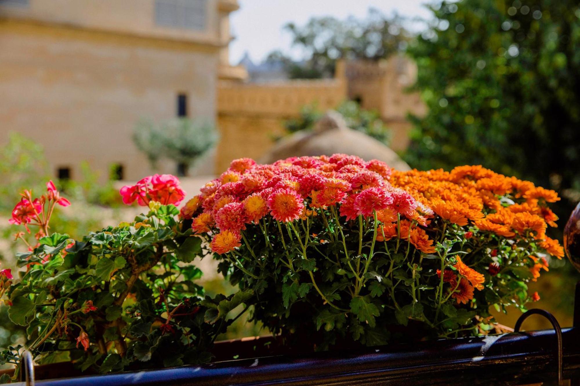 Royal Antique Boutique Hotel Baky Esterno foto